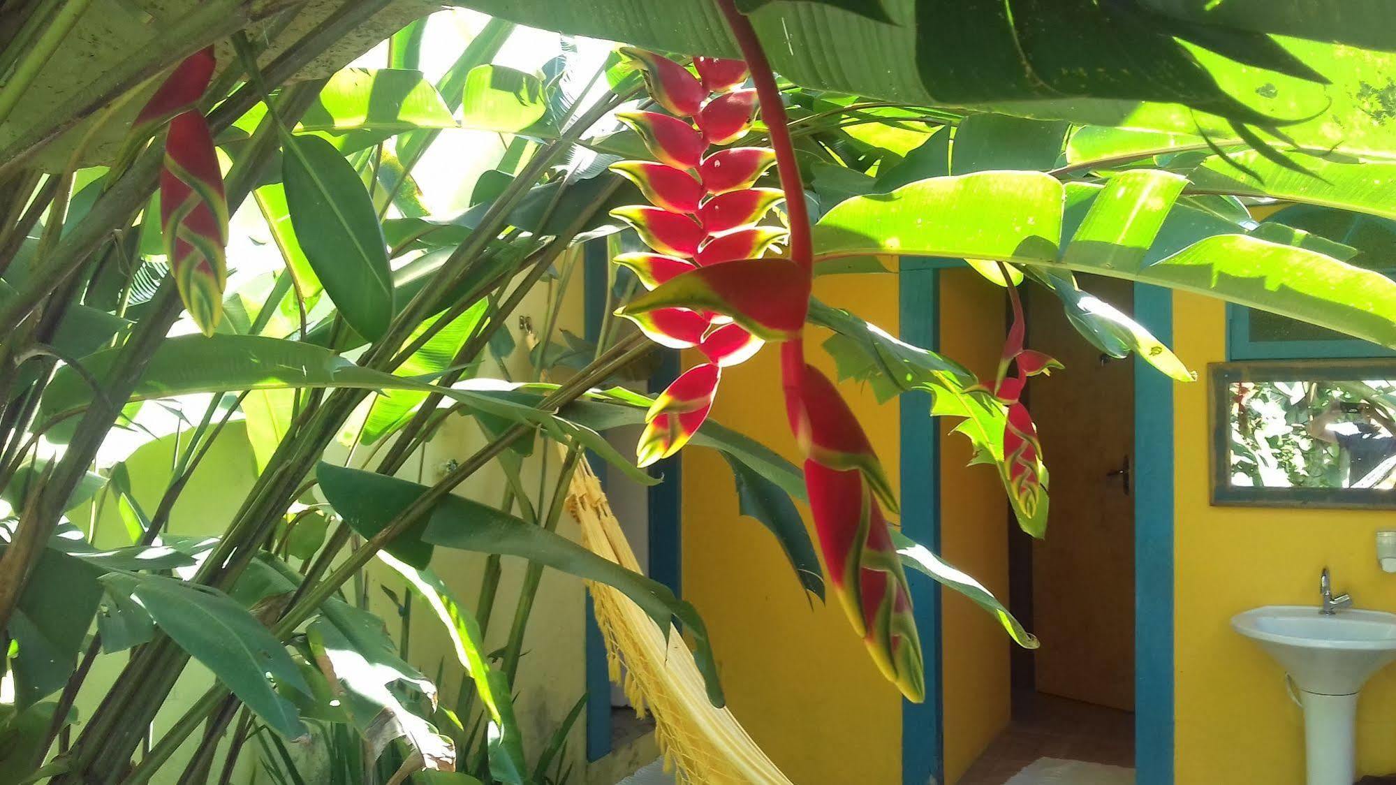 פאראטי Maracuja Hostel מראה חיצוני תמונה